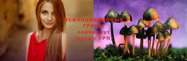 a pvp Балахна