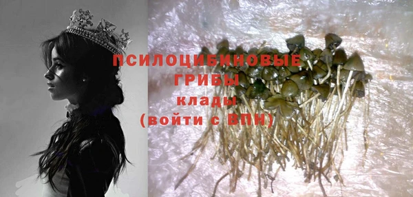 дживик Балабаново