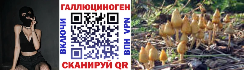 дарнет шоп Шагонар Псилоцибиновые грибы Psilocybe